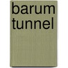 Barum Tunnel by Ronald Cohn