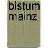 Bistum Mainz