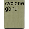 Cyclone Gonu door Ronald Cohn