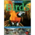 Dk Ewd Birds