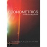 Econometrics door Hamid Seddighi