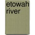 Etowah River