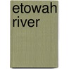 Etowah River door Ronald Cohn