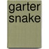 Garter Snake