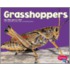 Grasshoppers