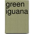 Green Iguana