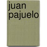 Juan Pajuelo by Adam Cornelius Bert