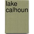 Lake Calhoun