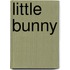 Little Bunny