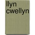 Llyn Cwellyn