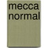 Mecca Normal