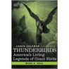 Thunderbirds by Mark Lee Rollins