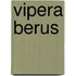 Vipera Berus