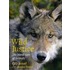 Wild Justice
