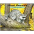 About Mammals