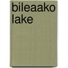 Bileaako Lake door Nethanel Willy