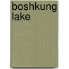 Boshkung Lake by Adam Cornelius Bert