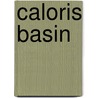 Caloris Basin door Ronald Cohn