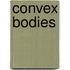 Convex Bodies