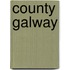 County Galway
