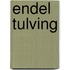 Endel Tulving