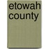 Etowah County