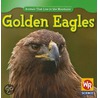 Golden Eagles door JoAnn Early Macken