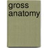 Gross Anatomy