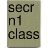 Secr N1 Class door Ronald Cohn