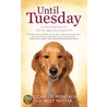 Until Tuesday by Luis Carlos Montalvan