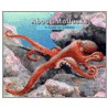 About Mollusks door Cathryn P. Sill