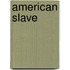 American Slave