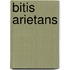 Bitis Arietans