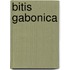 Bitis Gabonica