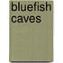 Bluefish Caves