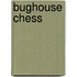 Bughouse Chess