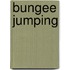 Bungee Jumping