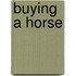 Buying a Horse