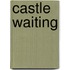 Castle Waiting