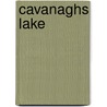 Cavanaghs Lake by Adam Cornelius Bert