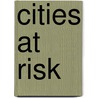 Cities at Risk by Tiziana Rossetto