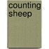 Counting Sheep