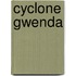 Cyclone Gwenda