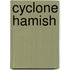 Cyclone Hamish