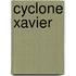 Cyclone Xavier