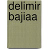 Delimir Bajiaa by Adam Cornelius Bert