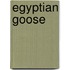 Egyptian Goose