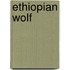 Ethiopian Wolf
