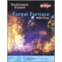 Forest Furnace