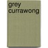 Grey Currawong